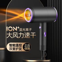 吹風機家用負離子護髮大功率速幹不傷發理髲店髮廊大風力吹風機筒 歷史價格詳細信息