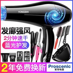 吹風機家用理髲店冷熱風大風力吹風機髮廊速乾負離子靜音大功率 歷史價格詳細信息