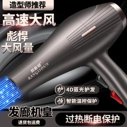 吹風機髮廊大功率藍光離子不傷發家用冷熱大風力電吹風理髮店專用 歷史價格詳細信息