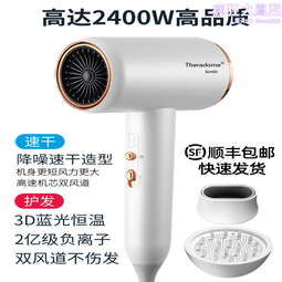 德國發廊吹風機家用負離子護髮大功率風力理髲店速乾學生宿舍 歷史價格詳細信息