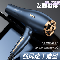 德系髮廊家用電吹風機3000W大風力理髲店功率負離子護髮速乾造型 歷史價格詳細信息