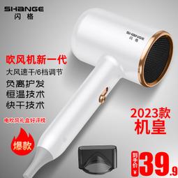 【好康】吹風機家用負離子護髮大功率靜音髮廊專用速乾高速大風力吹風機 歷史價格詳細信息