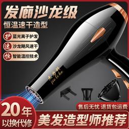 吹風機家用大功率髮型師負離子藍光護髮髮廊靜音電吹風筒 歷史價格詳細信息