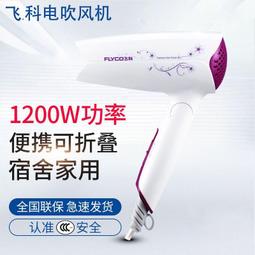 飛科吹風機FH6257家用摺疊學生宿舍小功率冷熱風護髮吹風機 歷史價格詳細信息