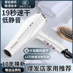 徠芬吹風機機發廊專用大功率理髲店家用大風負離子髮型師護髮速乾 歷史價格詳細信息