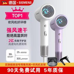 德國髮廊吹風機家用大功率3000W理髮店專用大風力負離子護髮風筒 歷史價格詳細信息