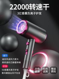 英系吹風機家用大功率負離子護髮學生宿舍用電吹風理髲店吹風機 歷史價格詳細信息