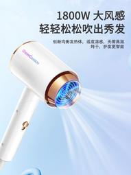 家用大功率吹風機卷直兩用直髮夾板2件套髮廊電吹風女士 歷史價格詳細信息