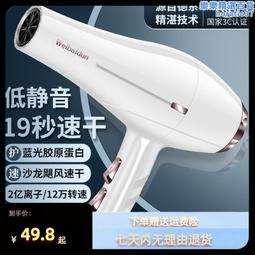 吹風機家用大功率學生宿舍靜音電吹風筒藍光負離子2300髮廊電吹風 歷史價格詳細信息