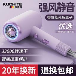 家用髮廊大功率速幹護髮吹風機負離子電吹風直發 歷史價格詳細信息