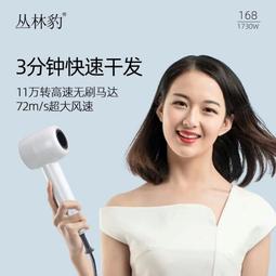 高速吹風機家用負離子大風力速幹護髮帶數顯新款電吹風筒 歷史價格詳細信息