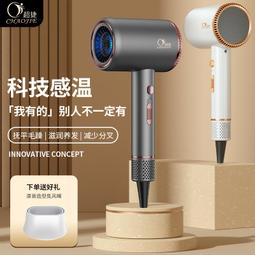 吹風機家用負離子護髮宿舍學生大風力速乾電吹風機小功率柔順小吹風機 歷史價格詳細信息