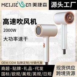 新款大功率高速電吹風髮廊專用靜音吹風機可攜式家用藍光護髮風筒 歷史價格詳細信息