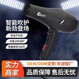高速電吹風機負離子風筒髮廊家用大功率大風力hair dryer 歷史價格詳細信息