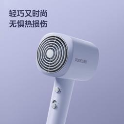 博銳 PH1621電吹風機家用大功率吹飛筒速幹護髮宿舍學生 PH1622 歷史價格詳細信息