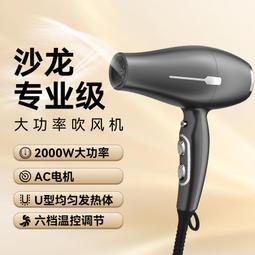 專用大功率吹風機負離子不傷發超靜音吹發宿舍家用電吹風 歷史價格詳細信息