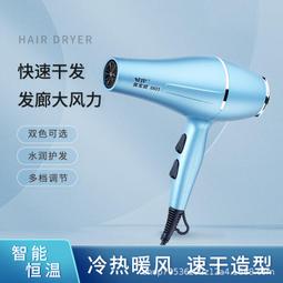 髮廊吹風機大功率電吹風藍光負離子護髮吹風筒 歷史價格詳細信息