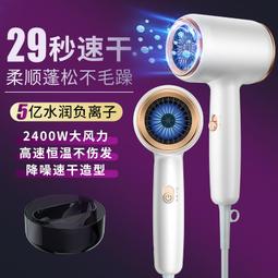 電吹風機家用理髮店髮廊吹風機大功率2400w負離子風筒 歷史價格詳細信息