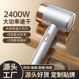 新款吹風機家用髮廊電吹風大功率藍光護髮電吹風筒禮品 歷史價格詳細信息