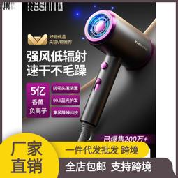 吹風機家用負離子護髮大風力理髲店專用小靜音速乾米高速吹風機 歷史價格詳細信息