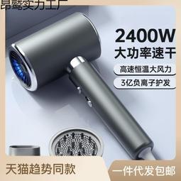 髮廊電吹風機家用大風力負離子護髮理髮店大功率速乾冷熱風筒 歷史價格詳細信息