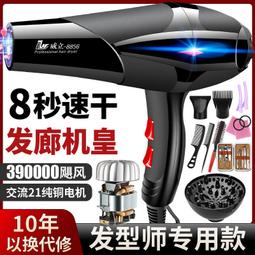 專業吹風機髮廊專用大功率宿舍恆溫冷熱造型吹風筒電吹風家用 歷史價格詳細信息