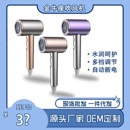 大功率藍光電吹風可攜式可摺疊吹風機酒店家用學生宿舍吹風筒 歷史價格詳細信息