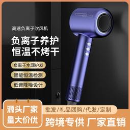 家用髮廊大功率速幹護髮吹風機負離子電吹風直發 歷史價格詳細信息