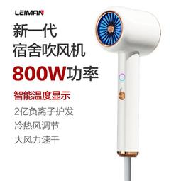 雷曼電吹風機家用大風力髮廊大功率理髮店速幹負離子靜音冷熱風 歷史價格詳細信息