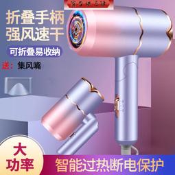 賽琦雅吹風機家用冷熱風藍光離子髮廊酒店大功率電吹風 歷史價格詳細信息
