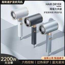 高速電吹風機恆溫大功率冷熱風負離子髮廊家用dh樂金家電kc3cce 歷史價格詳細信息