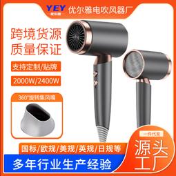 電吹風機家用理髮店髮廊吹風機大功率2400w負離子風筒 歷史價格詳細信息