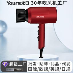 永日電吹風大功率髮廊理髮店大風力吹風機家用吹風筒髮型師專用 歷史價格詳細信息