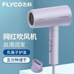 飛科電吹風機博銳家用小巧便攜強勁速幹護髮宿舍用學生吹風筒機 歷史價格詳細信息