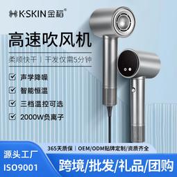 高速吹風機家用負離子吹風筒大功率速幹大風力髮廊電吹風 歷史價格詳細信息