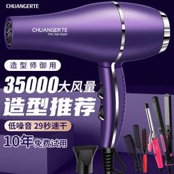 髮廊吹風機大功率電吹風藍光負離子護髮吹風筒 歷史價格詳細信息