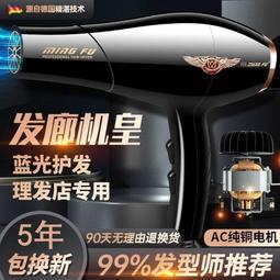 電吹風機強力大功率速幹理髮店大風力不傷發超靜音家用吹頭髮風筒 歷史價格詳細信息