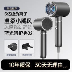 高速吹風機靜音學生宿舍家用大功率護髮速乾冷熱風電風機 歷史價格詳細信息