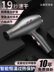 德國髮廊吹風機家用大功率電吹風理髮店專用負離子護髮冷熱風吹筒 歷史價格詳細信息