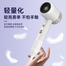 新款大功率電吹風高速家用酒店髮廊專用速幹護髮吹風機 歷史價格詳細信息