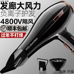 大風力電吹風機髮廊大功率藍光護髮負離子家用速幹理髮店專用高速 歷史價格詳細信息