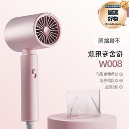 電吹風機家用宿舍用學生靜音護髮負離子男女士專用大風力風筒速冉 歷史價格詳細信息