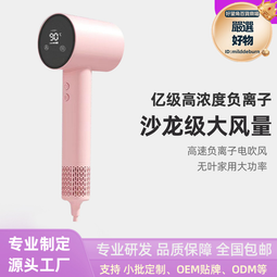 家用吹風機負離子不傷發高速吹風筒髮廊專用大功率電吹風禮品 歷史價格詳細信息