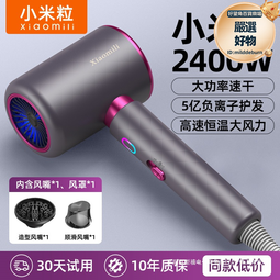 粒電吹風機家用負離子護髮大風力小功率速幹學生宿舍風筒2974 歷史價格詳細信息