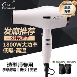 吹風機髮廊專用大功率電吹風藍燈速幹帶香味家用吹風筒電器 歷史價格詳細信息