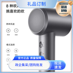 高速吹風機h501負離子護髮速乾宿舍家用大風力2023新款 歷史價格詳細信息