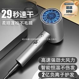 電吹風機家用大風力髮廊大功率男士專用理髮店負離子靜速幹護髮 歷史價格詳細信息