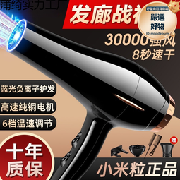 理髮店推薦大功率冷熱風速幹吹風筒恆溫不傷發髮廊專用新款電吹風 歷史價格詳細信息