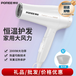 博銳吹風機家用2000W大功率恆溫冷熱風吹風機大風力速乾折疊吹風機 歷史價格詳細信息