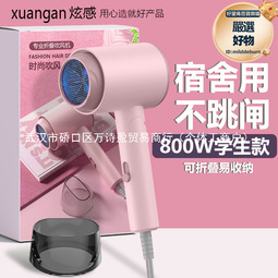 大學品牌電吹風機家用負離子護髮小功率宿舍用學生靜音 歷史價格詳細信息